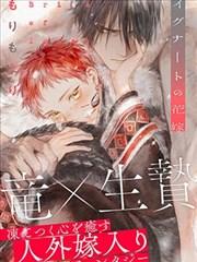 贵族逆袭漫画